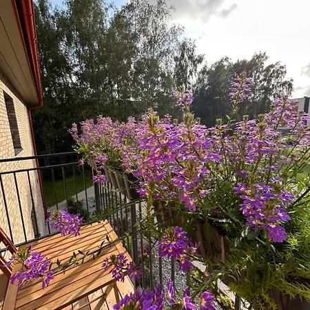 4 Winds Boreos 2 Appartement Palanga