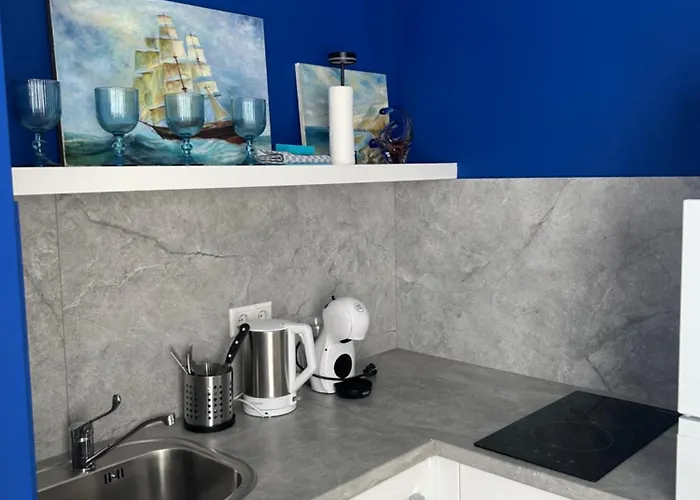 公寓 4 Winds Boreos 2 帕兰加