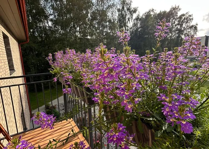 4 Winds Boreos 2 公寓 帕兰加